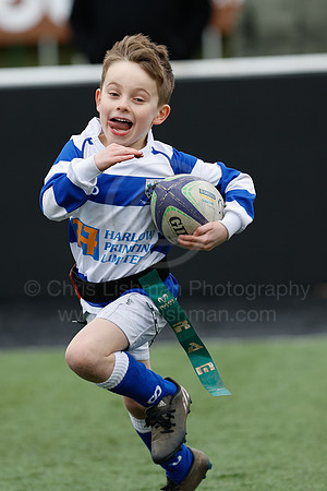 Under 7's & 8's_CDL_19-02-2023_CL_273476