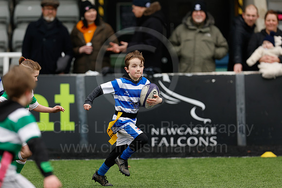 Under 7's & 8's_CDL_19-02-2023_CL_273396