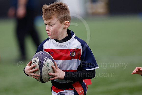 Under 7's & 8's_CDL_19-02-2023_CL_273336