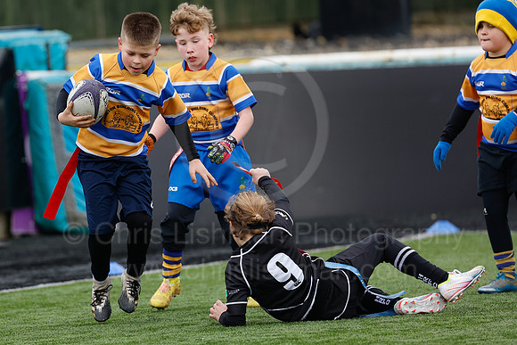 Under 7's & 8's_CDL_19-02-2023_CL_273307
