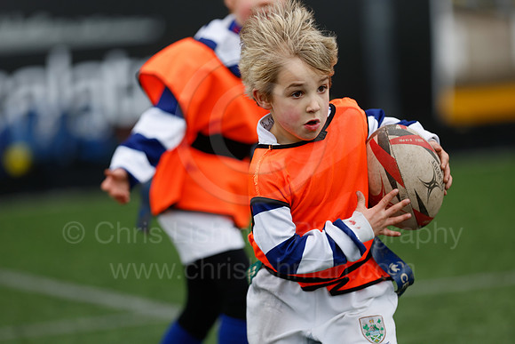 Under 7's & 8's_CDL_19-02-2023_CL_273276