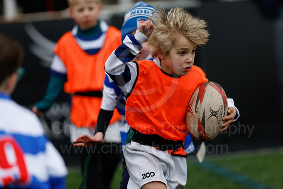 Under 7's & 8's_CDL_19-02-2023_CL_273273
