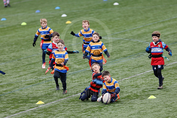 Under 7's & 8's_CDL_19-02-2023_CL_273165