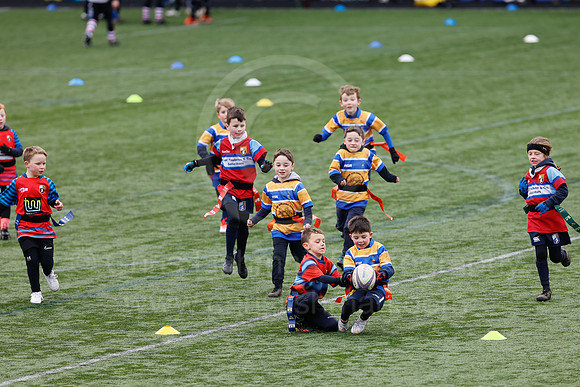 Under 7's & 8's_CDL_19-02-2023_CL_273164