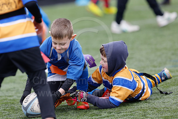 Under 7's & 8's_CDL_19-02-2023_CL_273132