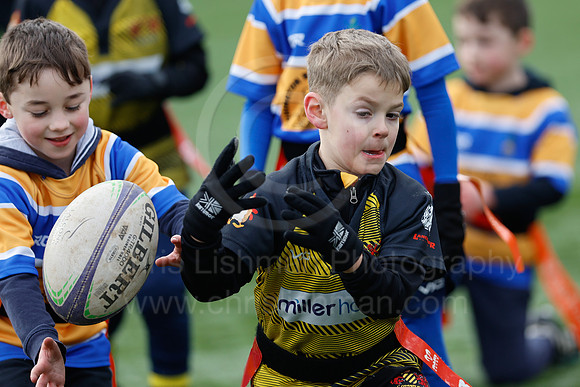 Under 7's & 8's_CDL_19-02-2023_CL_272916