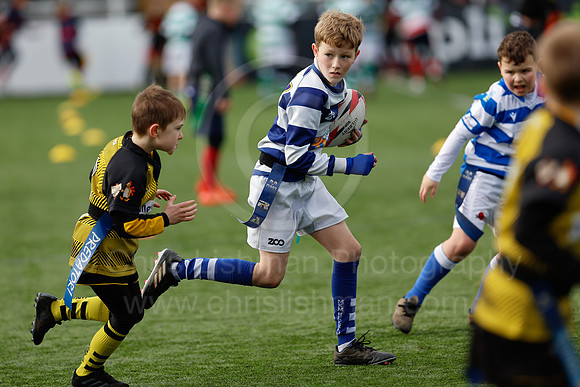 Under 7's & 8's_CDL_19-02-2023_CL_272875