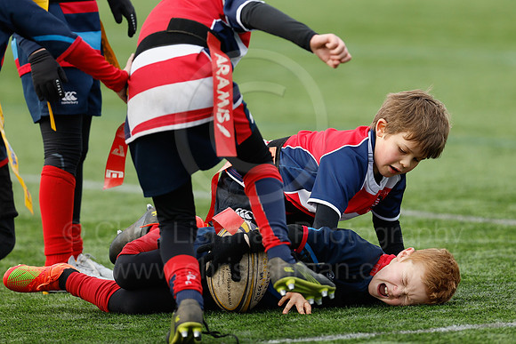 Under 7's & 8's_CDL_19-02-2023_CL_272870
