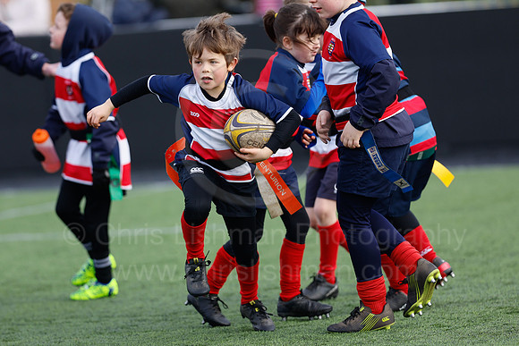 Under 7's & 8's_CDL_19-02-2023_CL_272790