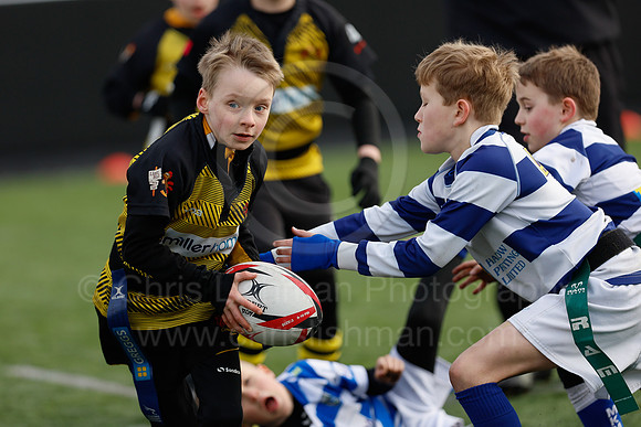 Under 7's & 8's_CDL_19-02-2023_CL_272770