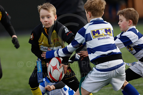 Under 7's & 8's_CDL_19-02-2023_CL_272769