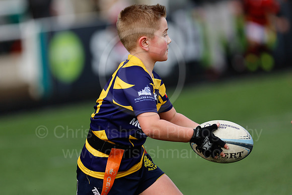 Under 7's & 8's_CDL_19-02-2023_CL_272731