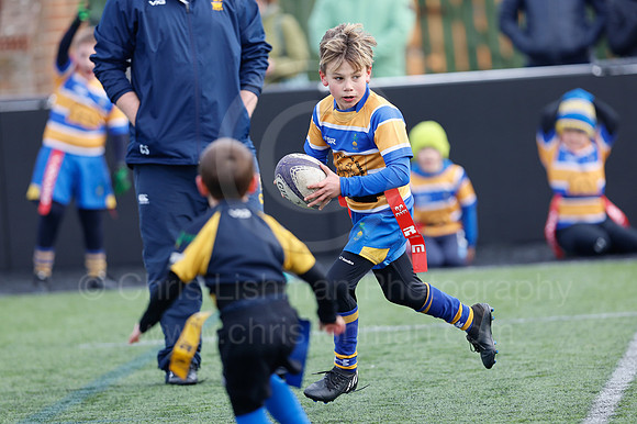 Under 7's & 8's_CDL_19-02-2023_CL_272601