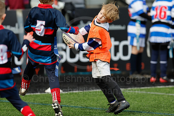 Under 7's & 8's_CDL_19-02-2023_CL_272535