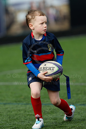 Under 7's & 8's_CDL_19-02-2023_CL_272523