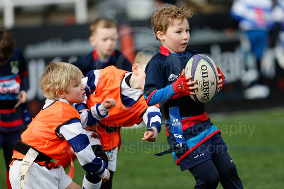 Under 7's & 8's_CDL_19-02-2023_CL_272516