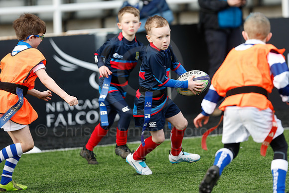 Under 7's & 8's_CDL_19-02-2023_CL_272502