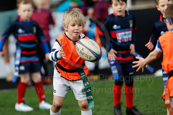 Under 7's & 8's_CDL_19-02-2023_CL_272490