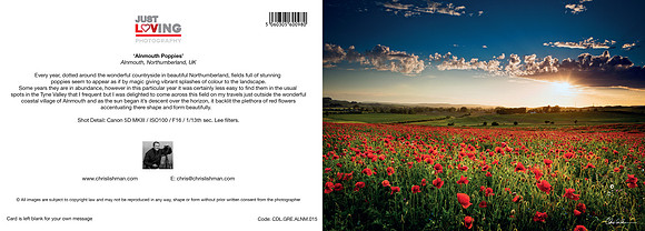 Alnmouth Poppies_A5 Greeting Card_CDL.GRE.ALNM.015