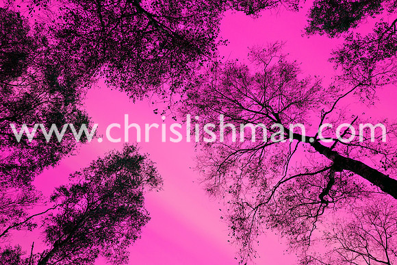 Skywards