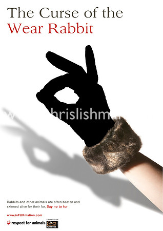 Design Against Fur Project - National Award Winner