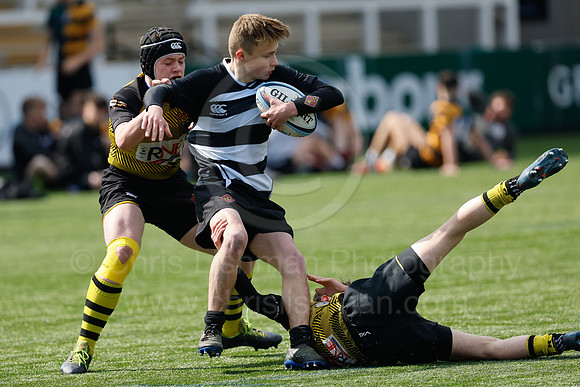 Fesitival_CDL_23-04-2023_CL_415487