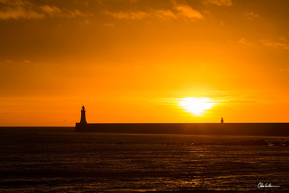 "Tynemouth Glow"