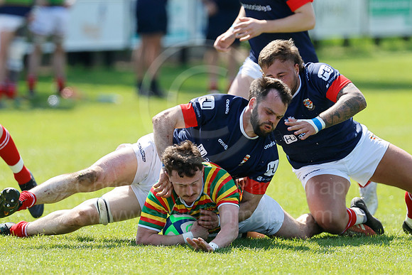 North v Cumb_CDL_13-05-2023_CL_443664