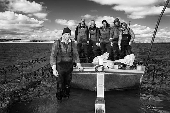 Oyster Men