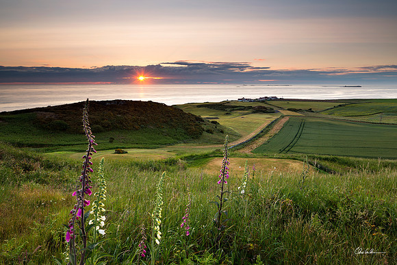 "A New Day at the 17th Tee"