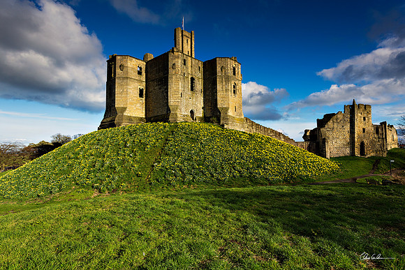 "Warkworth in Bloom"