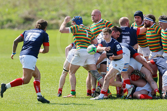 North v Cumb_CDL_13-05-2023_CL_444410