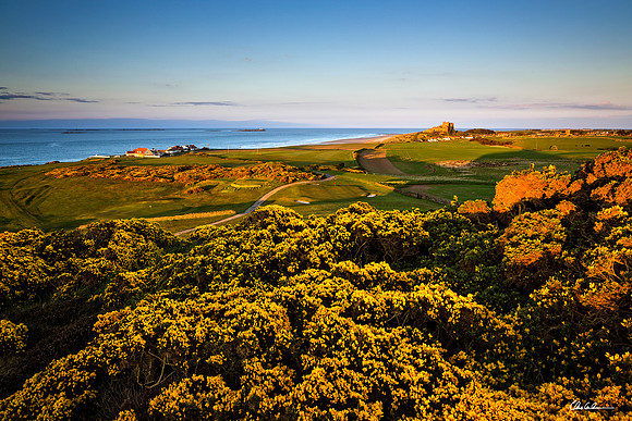 "Four Greens and a Great View"