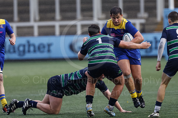 Gossy v B Burton_CDL_16-10-2024_CL_1222837