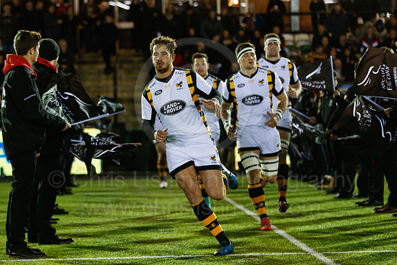 Falcons v Wasps_013_LA_7452