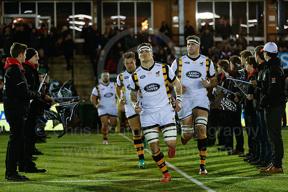 Falcons v Wasps_014_LA_7454