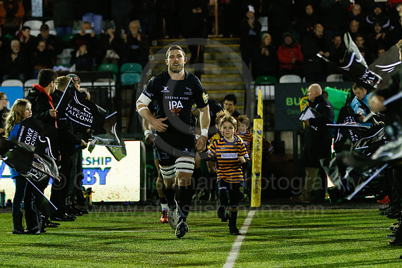 Falcons v Wasps_015_LA_7492