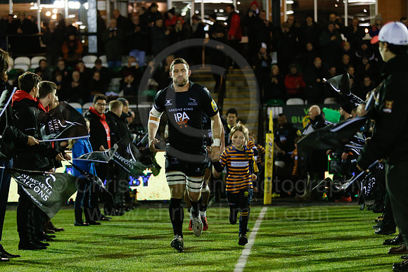 Falcons v Wasps_016_LA_7501