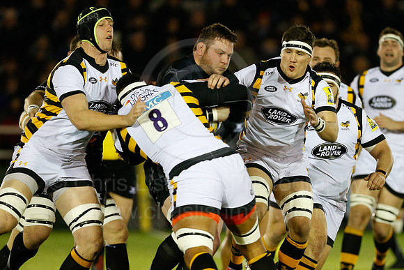 Falcons v Wasps_018_LC_8182