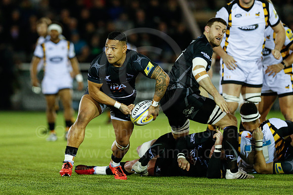 Falcons v Wasps_019_LC_8199