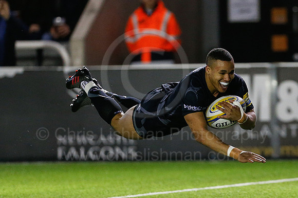 Falcons v Wasps_025_LC_8254