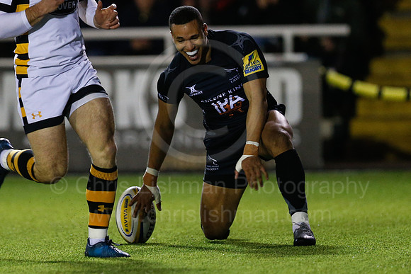 Falcons v Wasps_028_LC_8267