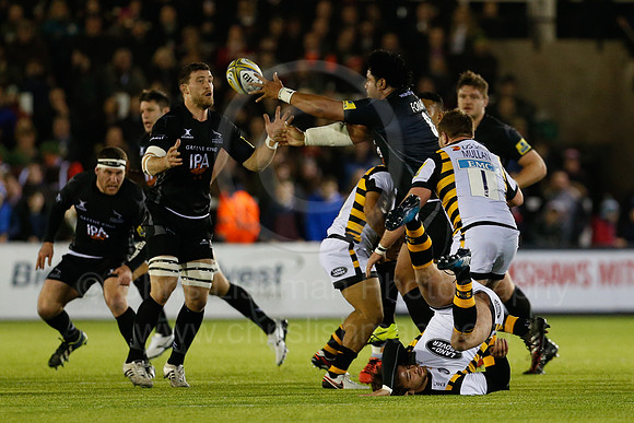 Falcons v Wasps_031_LC_8344