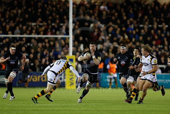 Falcons v Wasps_032_LC_8354