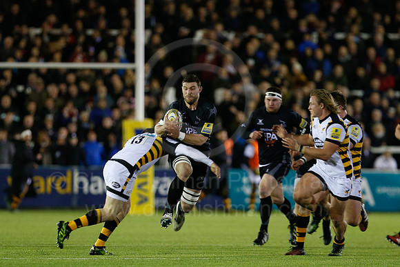 Falcons v Wasps_033_LC_8355