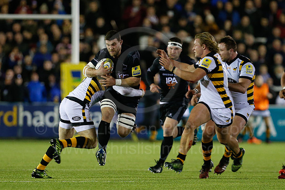 Falcons v Wasps_034_LC_8356