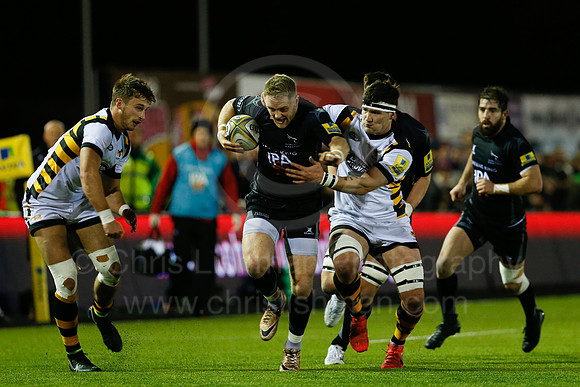 Falcons v Wasps_035_LC_8367
