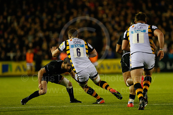 Falcons v Wasps_037_LC_8410