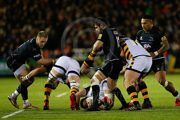 Falcons v Wasps_038_LC_8424