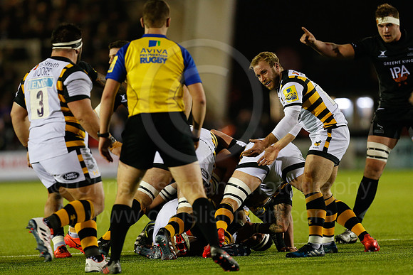 Falcons v Wasps_039_LC_8457
